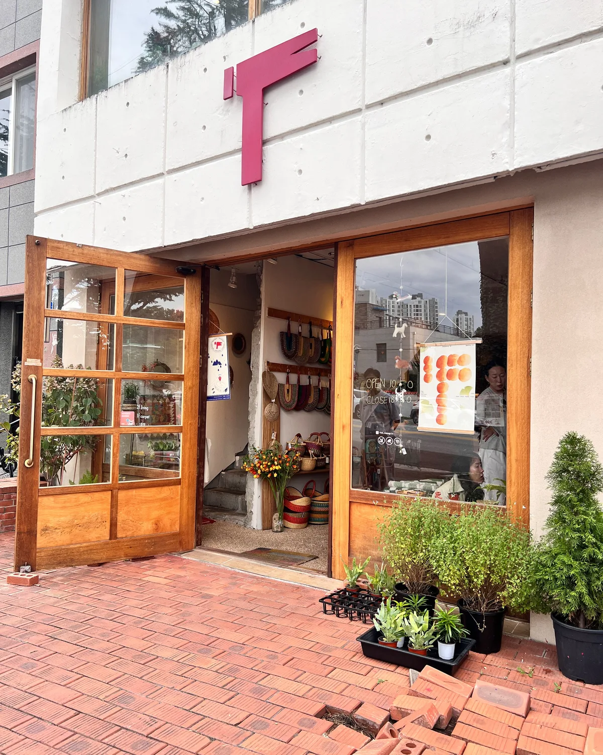 입구. 노출 콘크리트 + 원목 창틀 + 화분 — 6년째 같은 얼굴