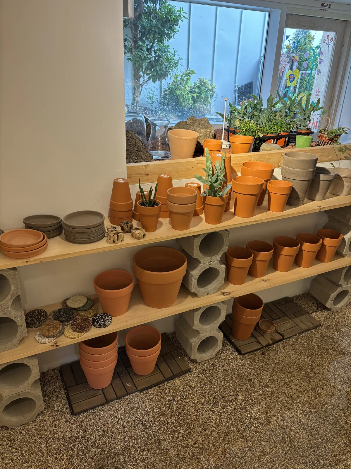 B1 gardening — 테라코타 화분이 선반 가득